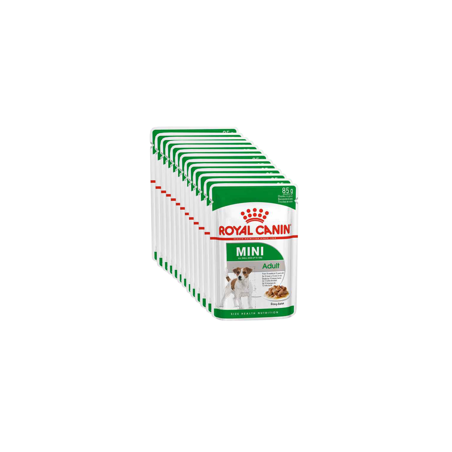 Royal Canin Mini Adult 12x85g