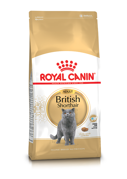 Royal Canin British Shorthair Adult 10kg