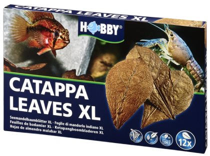 Hobby Catappa Leaves Brun