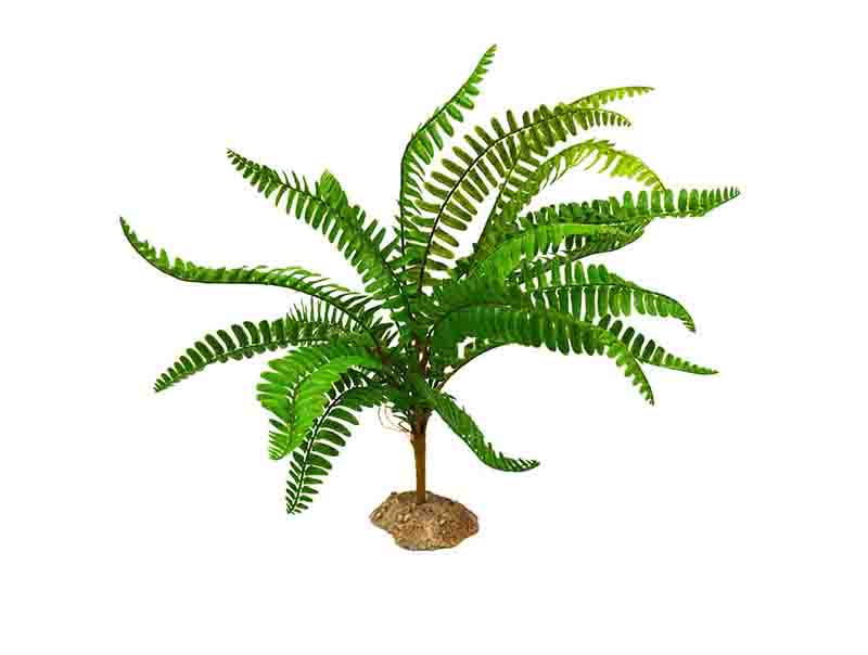 Dogman Dekor Palm Grön XL 39cm