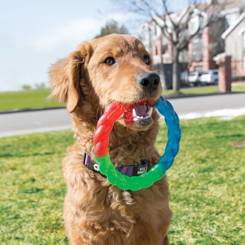 KONG Leksak Twistz Ring Flerfärgad L 28cm
