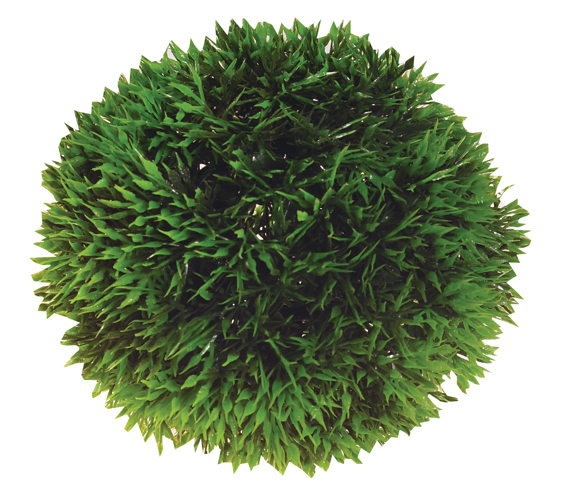 Hobby Dekorväxt Plant Ball Grön 9cm