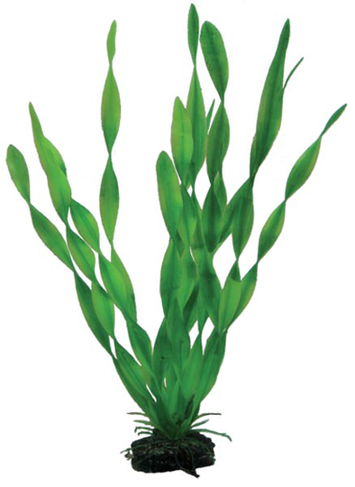 Hobby Dekorväxt Vallisneria Grön 34cm