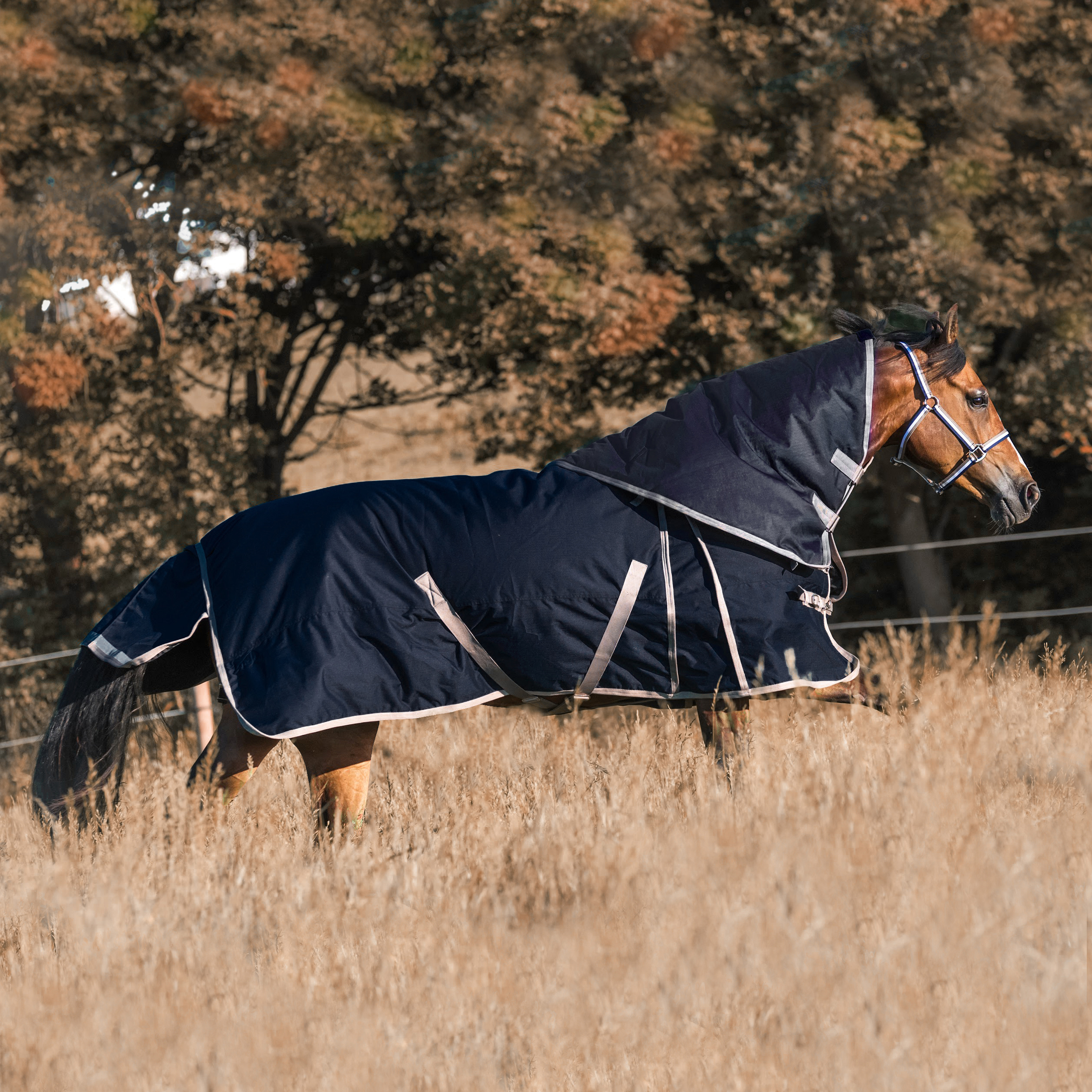 Jacson Remy Utetäcke 400 Marin 115cm