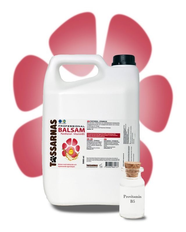 Tassarnas Balsam Pantheol 5L