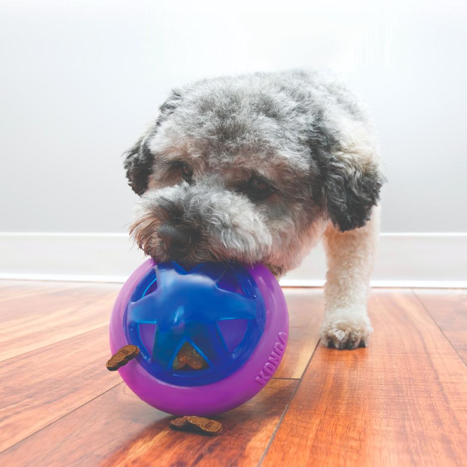 KONG Aktiveringsleksak Hopz Ball Flerfärgad S 11cm