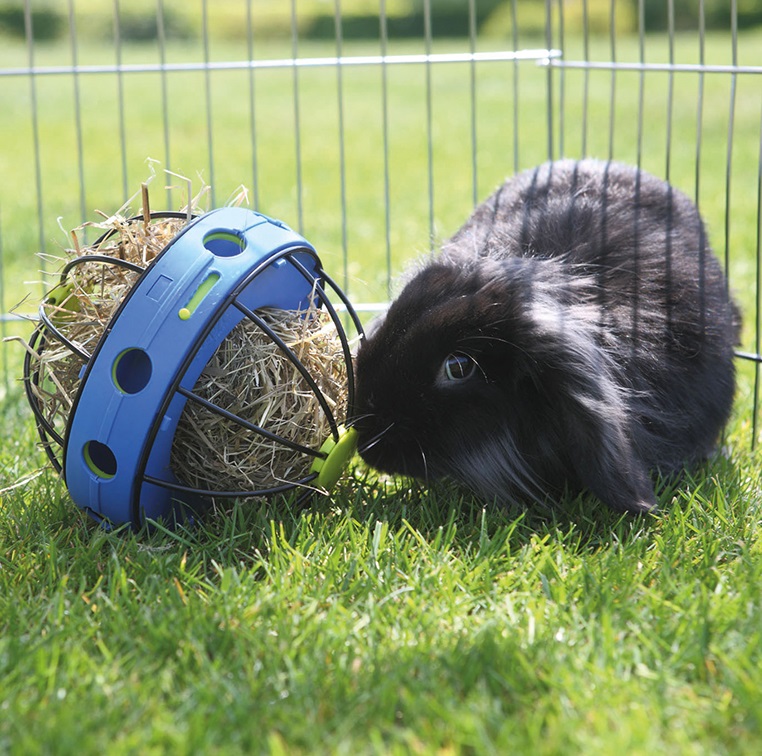 Savic Matbehållare Bunny Blå 20cm