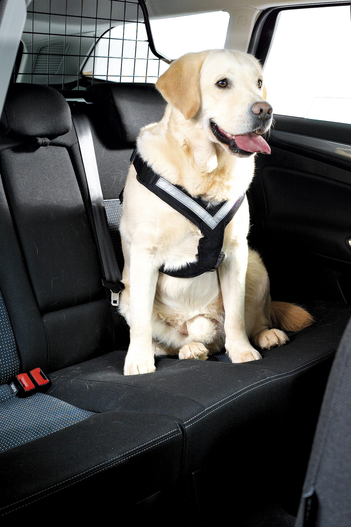 MIMSafe Allsafe Harness Svart S