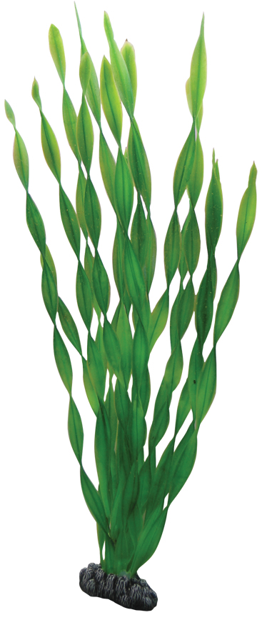 Hobby Dekorväxt Vallisneria Grön 46cm