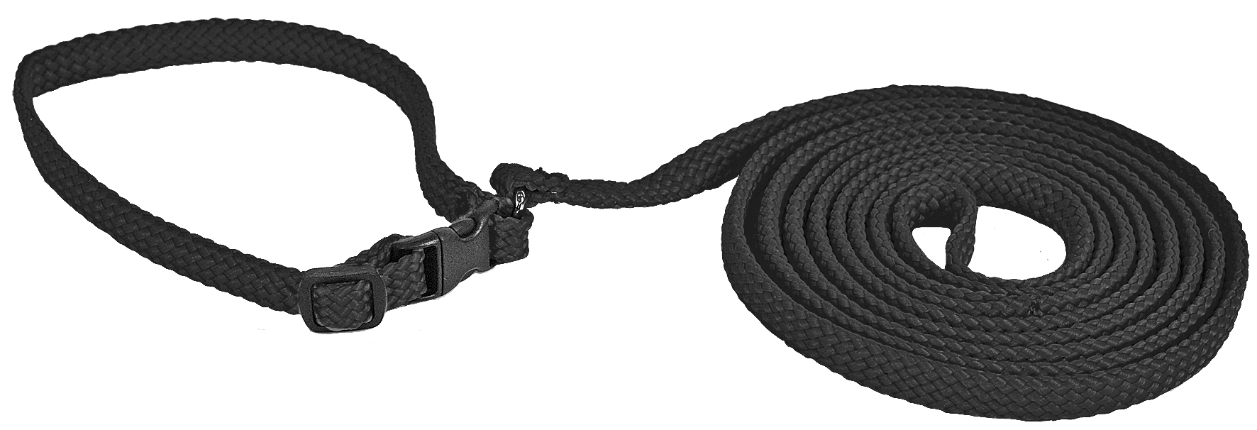 Alac Halsband+Koppel Svart S 170cm