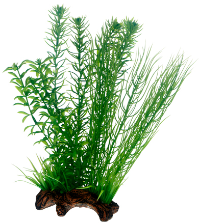 Hobby Dekor Flora Root 2 Grön L 30cm