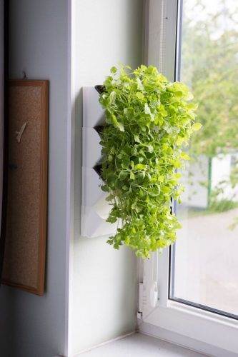Aquael Versa Garden Herbs Vit 40cm