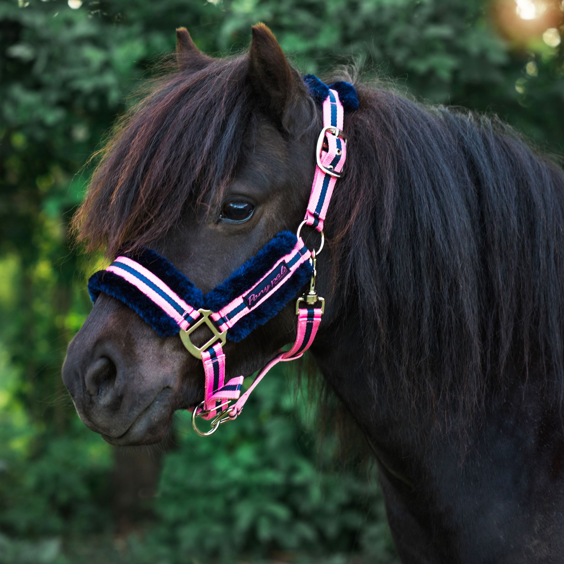 Jacson PonyPals Grimma Marin Cob