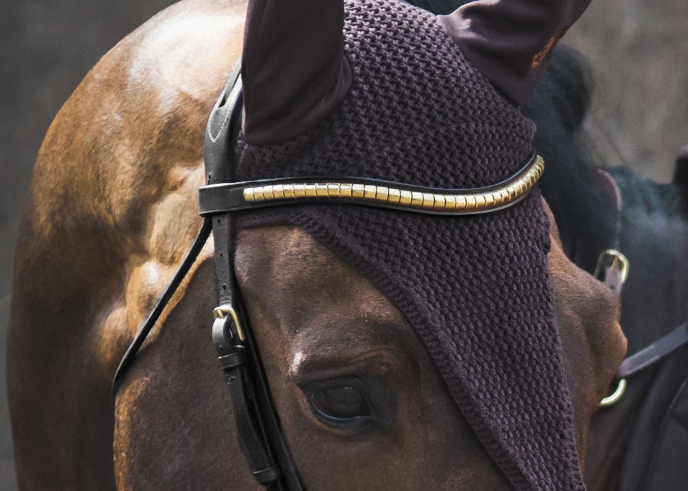 Jacson Cambridge Pannband Svart Cob