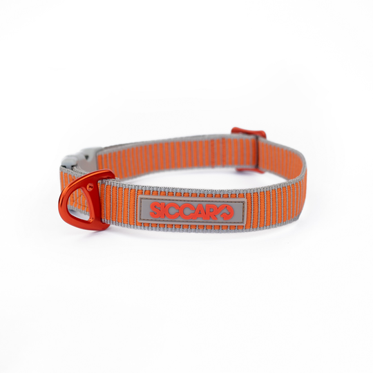 Siccaro Halsband Sealine ställbart Flerfärgad 28-36cm