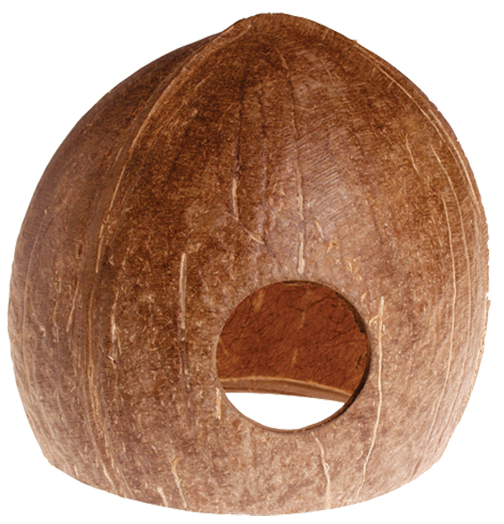 Hobby Dekor Grotta Kokosnöt Brun M 10cm
