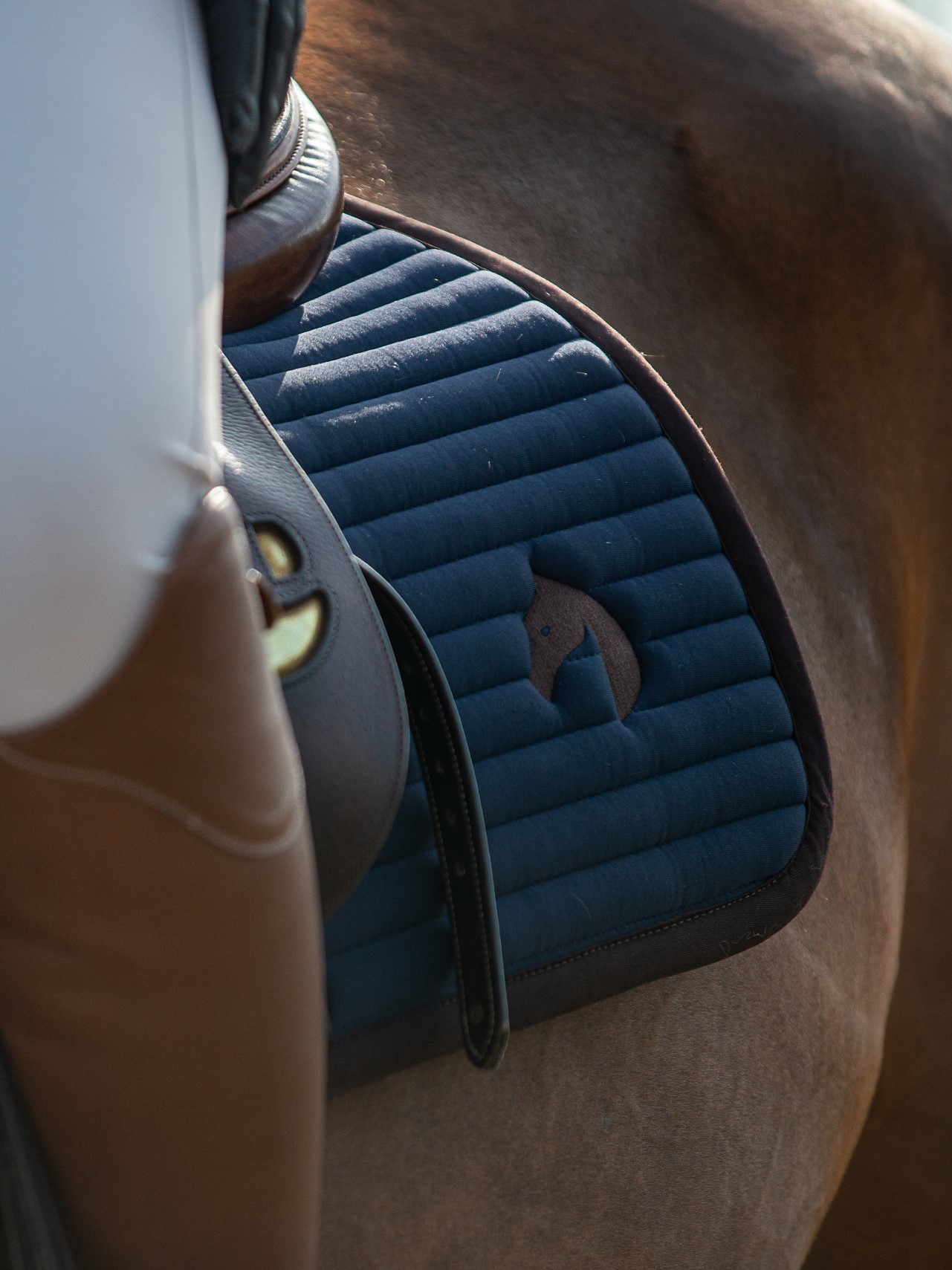 Jacson Seattle Schabrak Marin Full Allround