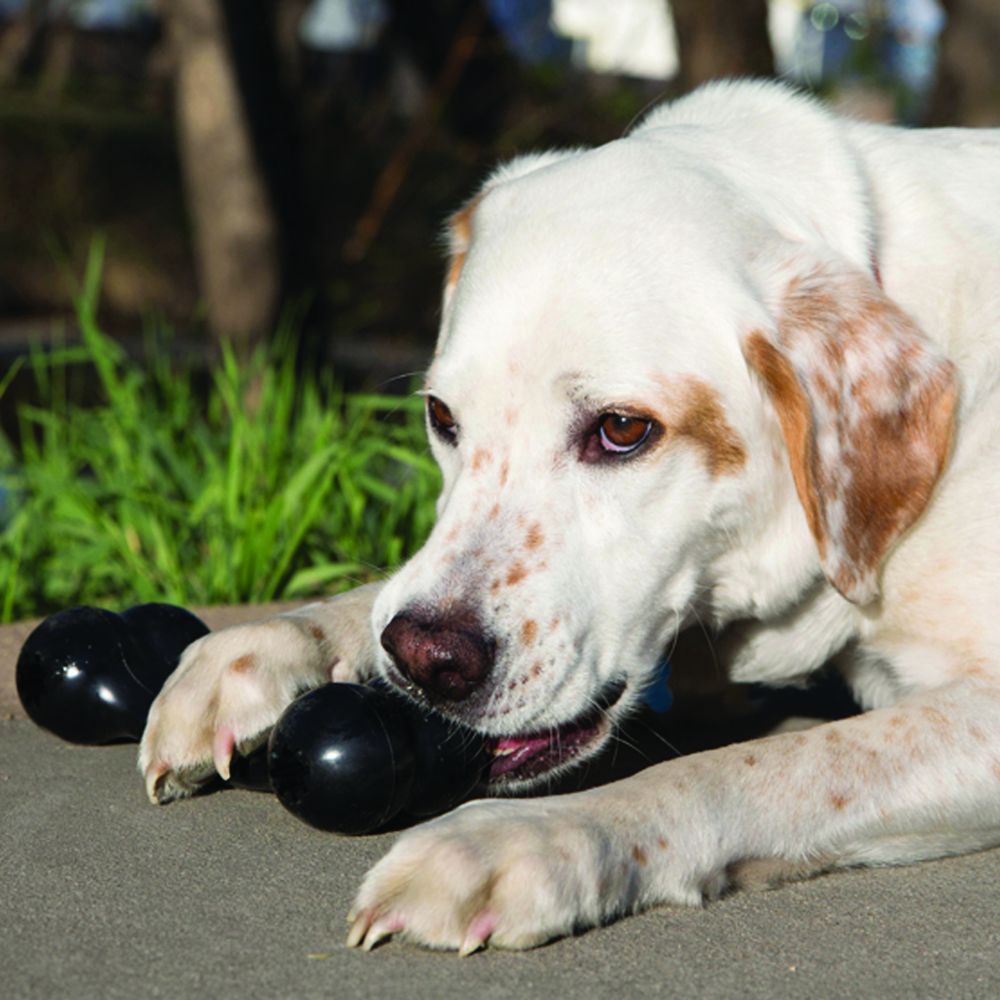 KONG Leksak Extreme Goodie Bone Svart L 21,5cm