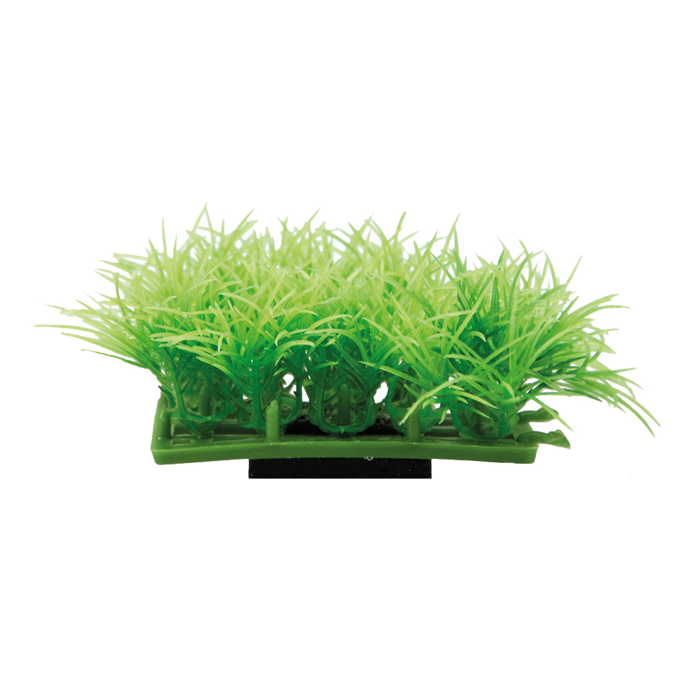 Hobby Dekorväxt Plant pad 2 Grön 7cm