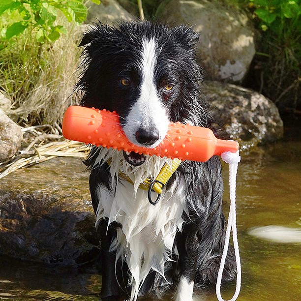 Dogman Leksak Dummie flytande Orange S 26cm