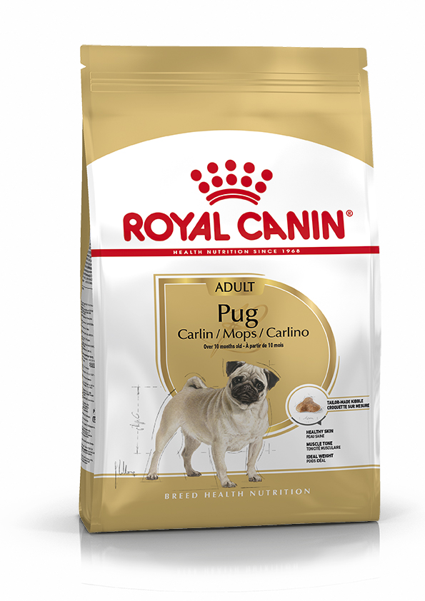 Royal Canin Pug Adult 1,5kg