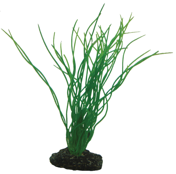 Hobby Dekorväxt Sagittaria Grön 20cm