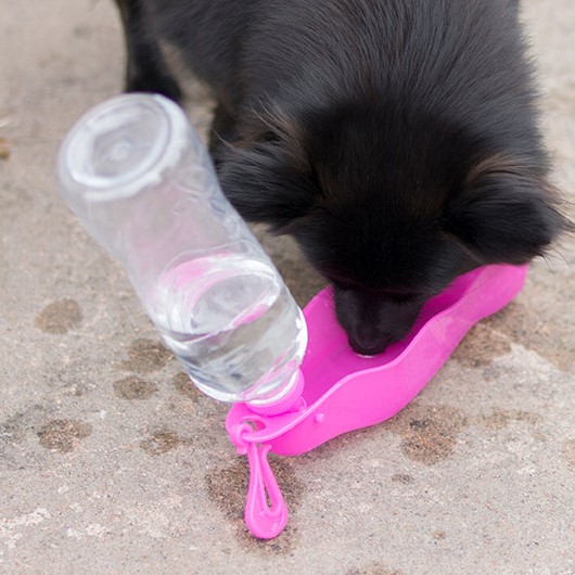 Dogman Vattenflaska Mille Rosa M 500ml
