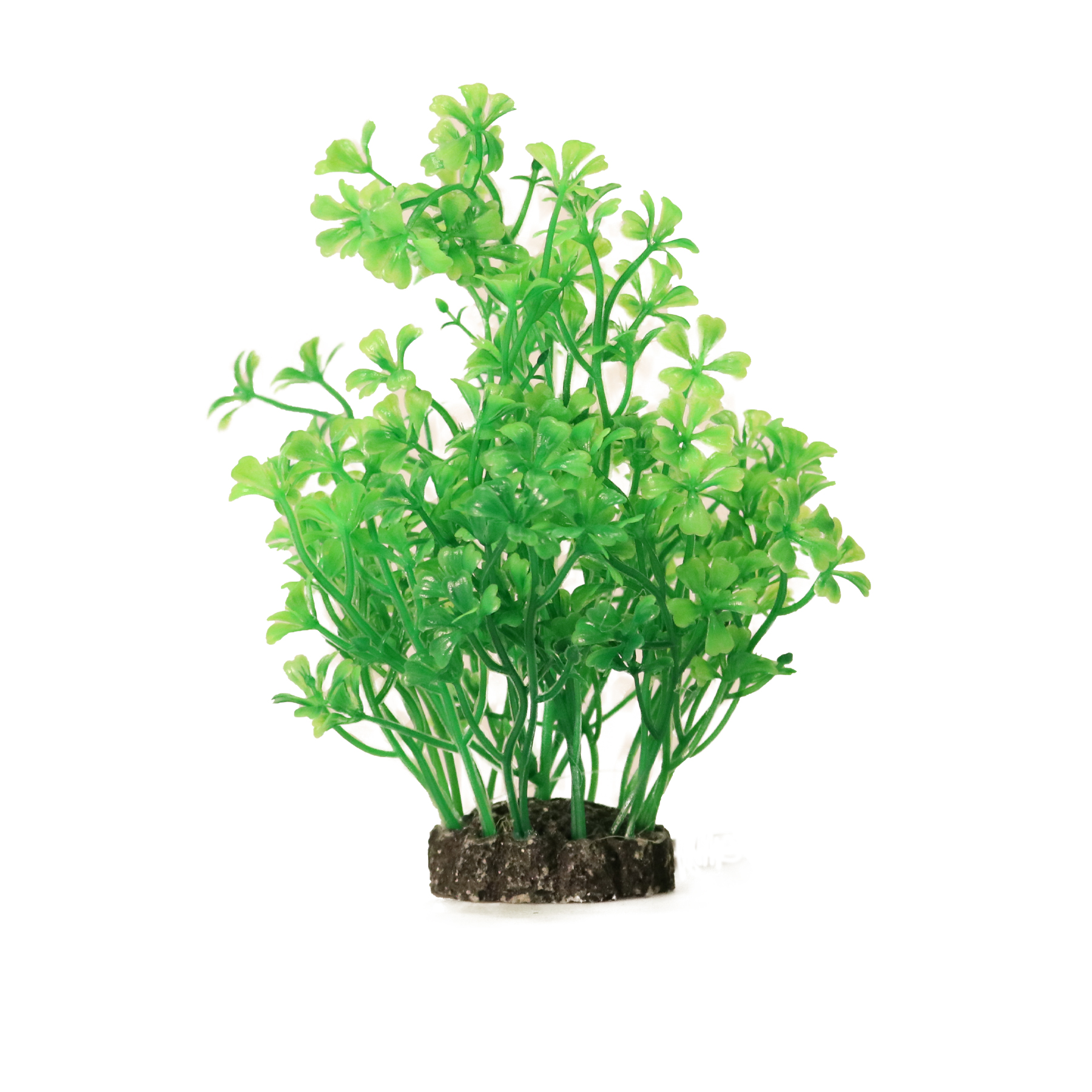 Aquael Dekorväxt Grön M 15cm