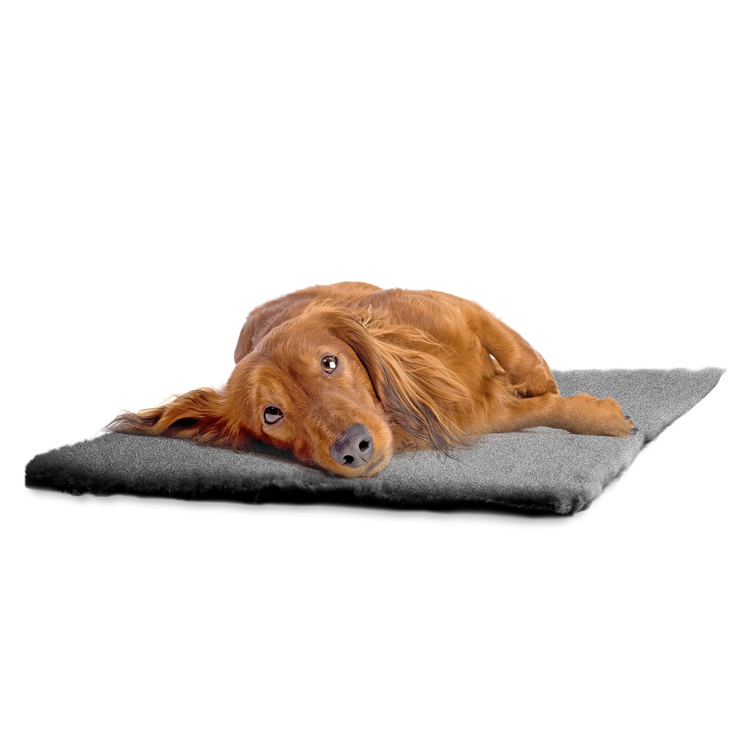 Dogman Fäll Malva Grå M 100cm