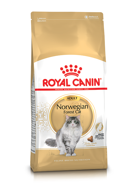 Royal Canin Norwegian Forest Cat Adult 10kg