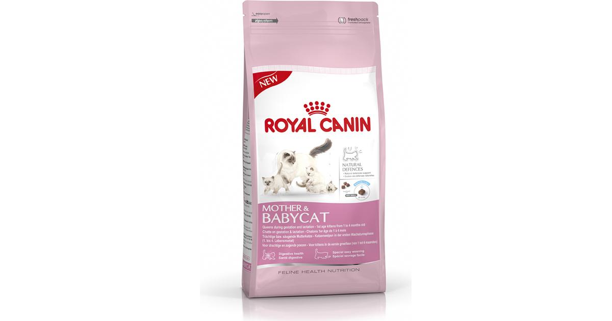 Royal Canin Mother o Babycat 10kg