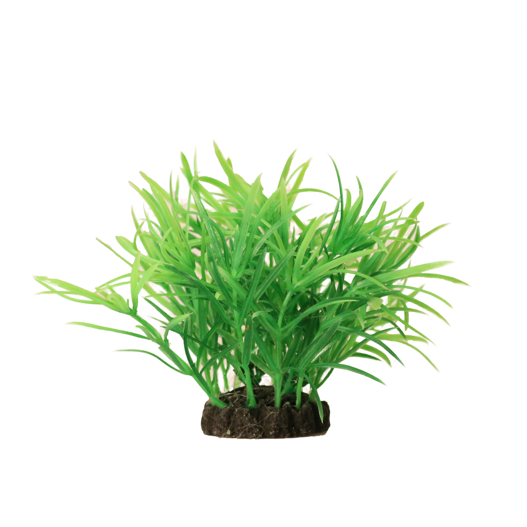 Aquael Dekorväxt Grön S 10cm